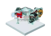 Throttle Valve Anatomical Model